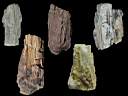 petrified wood0006.jpg